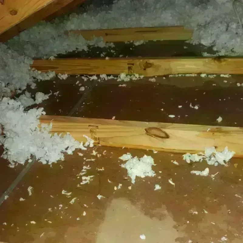 Attic Water Damage in Clay County, GA